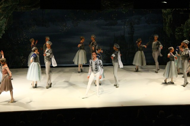 Swan Lake